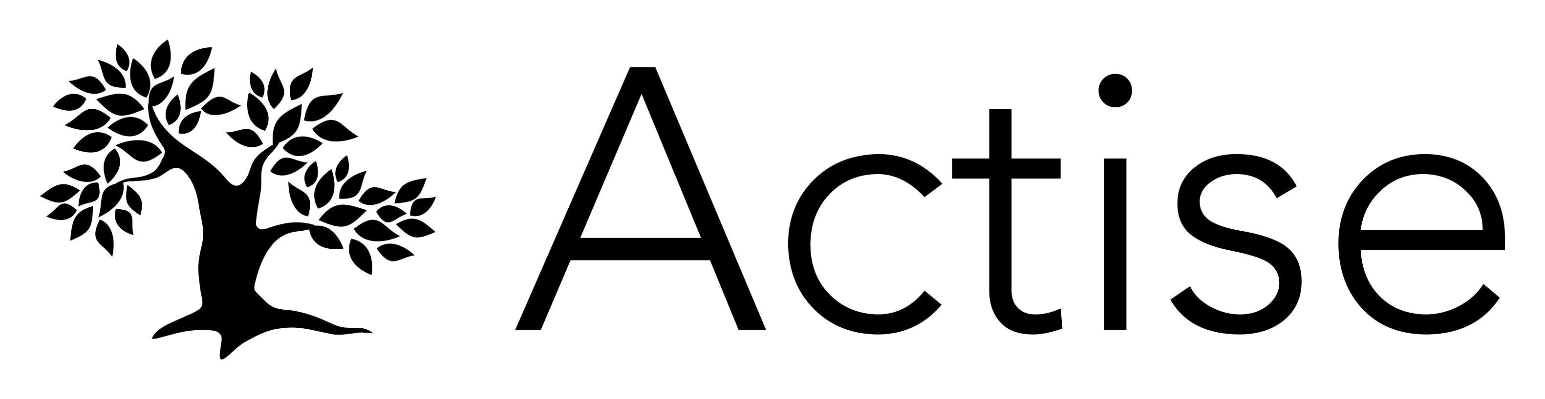 Actise GmbH